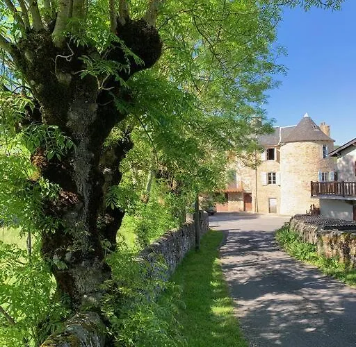 Charming House In Gorgeous, Quiet Village In The Aveyron Countryside